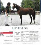 A vendre &eacute;talon approuv&eacute; PFS 5 ans