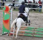 Cherche DP pour gentille ponette camarguaise 