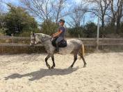 super ponette &agrave; vendre de 6 ans sortie en CSO