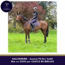 Magnifique jument 1m66