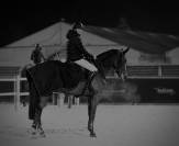 Jument de 10 pour gagner 140/145 