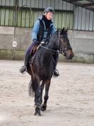 Jument sport/loisirs ou reproduction