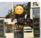 Jument sport/loisirs ou reproduction