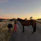 &Agrave; vendre &ndash; Silver (Un Certain Sourire)