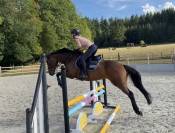 &Agrave; vendre &ndash; Silver (Un Certain Sourire)