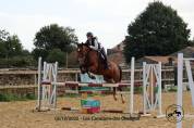 Poney de sport 