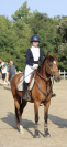Poney de sport 