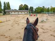 Propriet&agrave; equestre In vendita Charente-Maritime