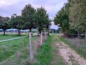 Propriet&agrave; equestre In vendita Charente-Maritime