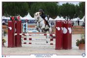 Poney de sport CSO- 100- 110 cm 