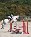 Poney de sport CSO- 100- 110 cm 