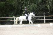 Jument - Lusitanienne - 12 ans - Dressage  PSG - France