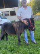 Poney Maximus 