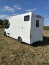 Van per Cavalli Renault MASTER 2021 Nuovo