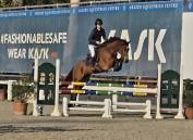 Cavallo salto ostacoli 