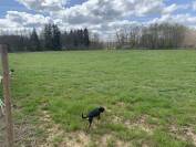 &Eacute;curie ind&eacute;pendante pour deux petits chevaux