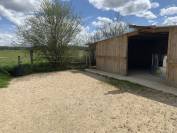 &Eacute;curie ind&eacute;pendante pour deux petits chevaux