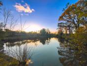 Maison avec &eacute;tang priv&eacute; et 1,4Ha - Id&eacute;al chevaux/nature