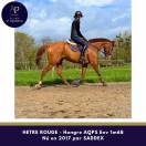 Magnifique AQPS env 1m68