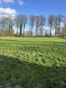 Pension de chevaux au pr&eacute; - 76850 Bracquetuit 