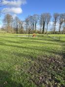 Pension de chevaux au pr&eacute; - 76850 Bracquetuit 
