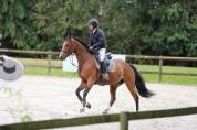Jacinthe Rumel - Jument SF 7 ans, 1m65