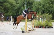 Jacinthe Rumel - Jument SF 7 ans, 1m65