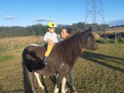 Ponette Pottok livret A grand mod&egrave;le