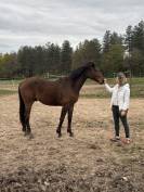 O my boy d&rsquo;Asvi 