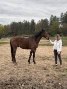 O my boy d&rsquo;Asvi 