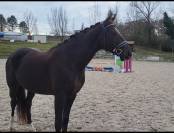 Ma&icirc;tre d'&eacute;cole facile gentil saint Georges et +