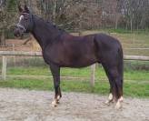 Ma&icirc;tre d'&eacute;cole facile gentil saint Georges et +