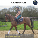 CHARMATOR - PS - 4 ANS