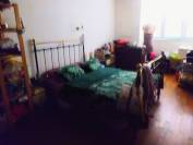 Belle propri&eacute;t&eacute; &eacute;questre Tr&eacute;dion Bretagne