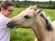 vends Pouliche Pandora des sires, PFS isabelle pour cso