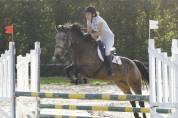 Merrie Franse rijpony PFS Te koop 2025 Isabel ,  Eye catcher de l'ourcq