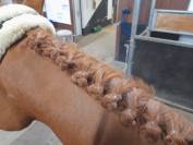 Stagiaire internationale