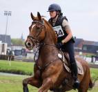 Cheval &agrave; vendre CCE