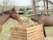 AQPS pour concours et/ou loisirs 