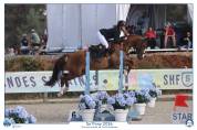 Castrone PFS Pony Francese da Sella In vendita 2022 Sauro brul&eacute; ,  OPPLALA ST HYMER