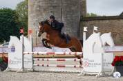 Castrone PFS Pony Francese da Sella In vendita 2021 Baio ,  Eye Catcher de Lourcq