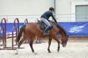 Poney PFS 5ans 