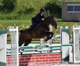 &Agrave; vendre F&eacute;nix des Joncs 