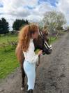 Jeune poney 2 ans pour CSO