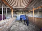 &Eacute;curie familiale proche de blaye 