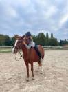 Poney &agrave; vendre