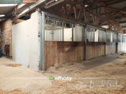 Riding school  C&ocirc;te d'Armor