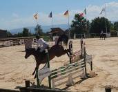 Cavalla PFS Pony Francese da Sella In vendita 2021 Baio ,  Etadam d&rsquo;Odival