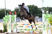 Jument SF top lign&eacute;e 