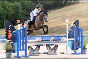 Jument SF top lign&eacute;e 